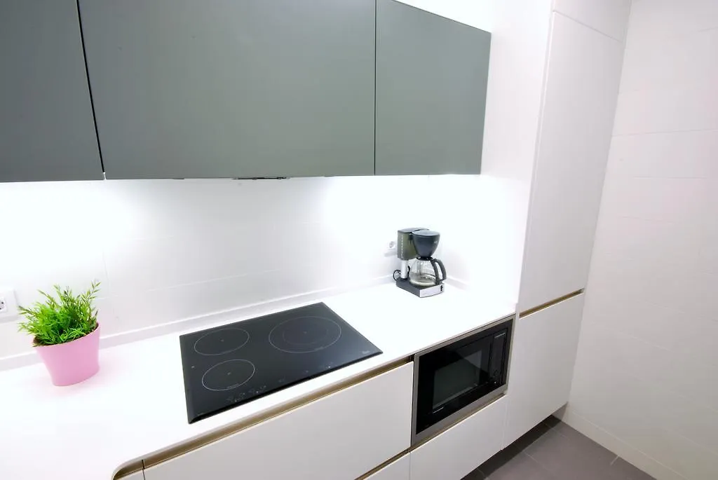 Gran Via Sdb Appartement Barcelona Spanje